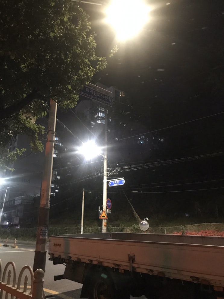  밤산책길 꽃가루가 눈처럼 날아다녀요