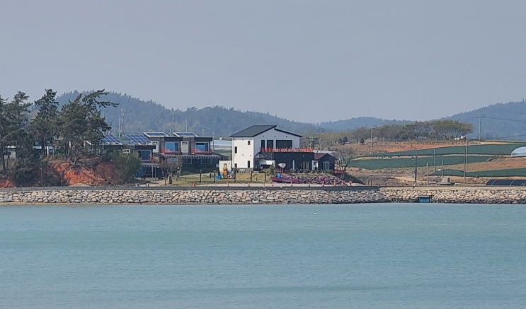  신안군 압해도 식사가 되는 오션뷰 인스타 핏 헤밍웨이 카페 이집 김치 맛집이네