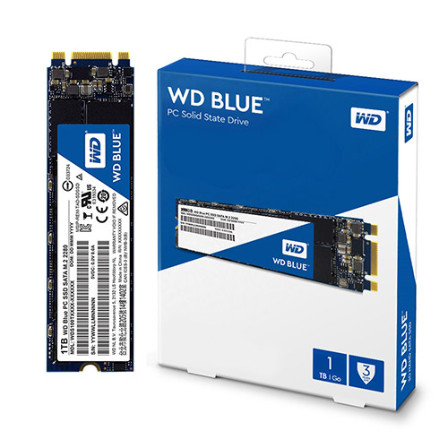 [내가 선택한 이유] ssd  - WD Blue M.2 SSD,  (With AOA 소식)