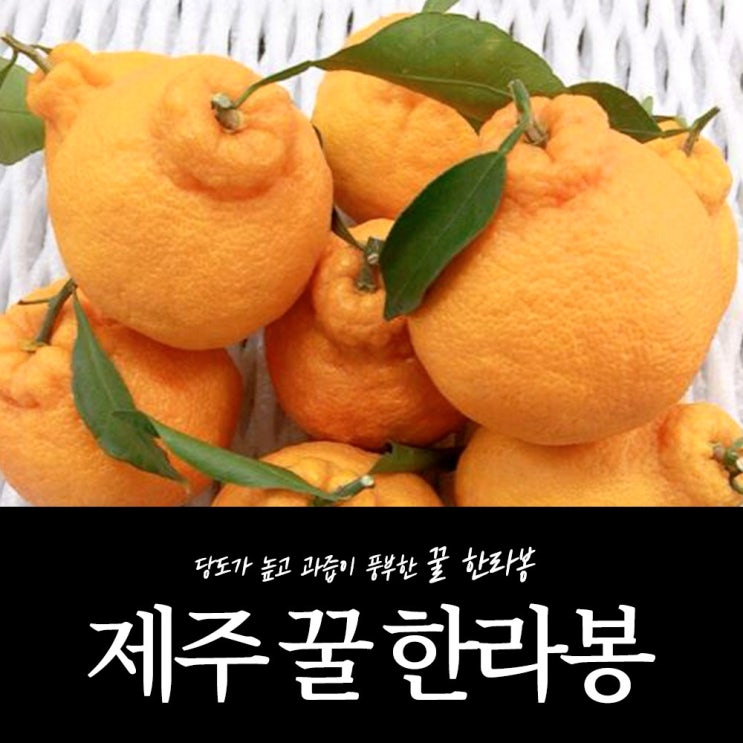 프리미엄 제주도 한라봉 벌크 선물세트 햇한라봉 중과 중대과 10kg, 1박스, 제주 한라봉 중과 10kg (38과 내외) 추천해요 프리미엄 제주도 한라봉 벌크 선물세트 햇한라봉 중과 중대과 10kg, 1박스, 제주 한라봉 중과 10kg (38과 내외) 추천해요