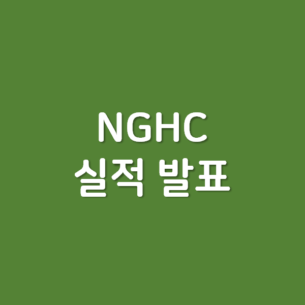 National General Holdings Corp NGHC 실적 발표