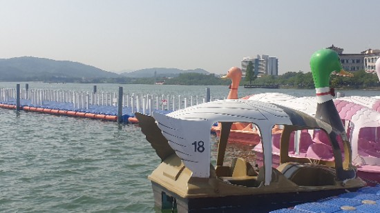  경주 보문단지 오리배