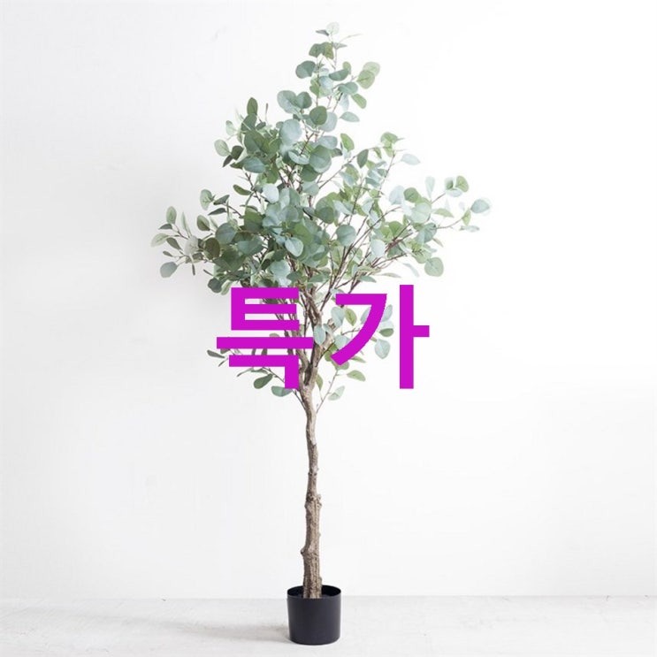 RYMD 조화 실버 달러 유칼립투스 나무! 가성비가 좋습니다 RYMD 조화 실버 달러 유칼립투스 나무! 가성비가 좋습니다