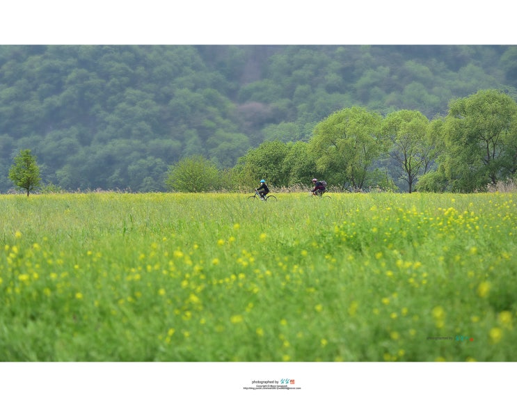  [코로나19]  그래도 함께 가기 ...