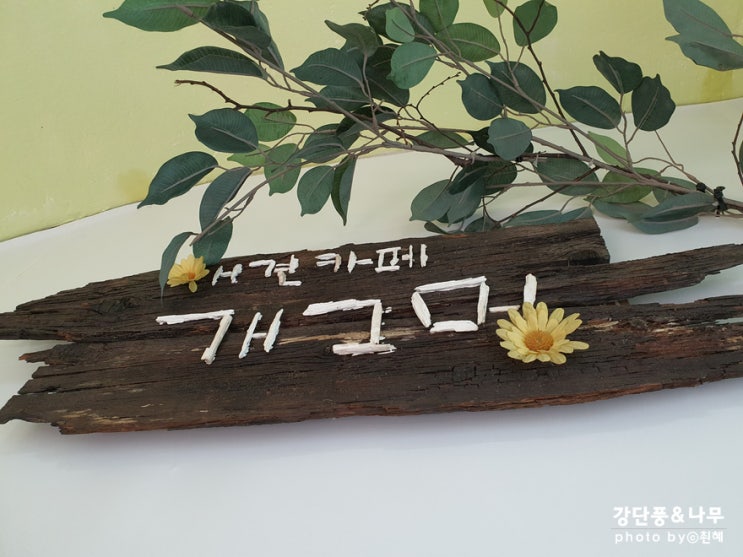  노원 애견카페 개그멍 대형견 ok 노원역 9번출구