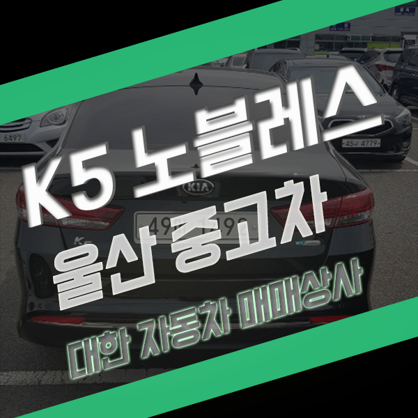  노블 k5 중고차 가지고 왔어요. 울산이에요