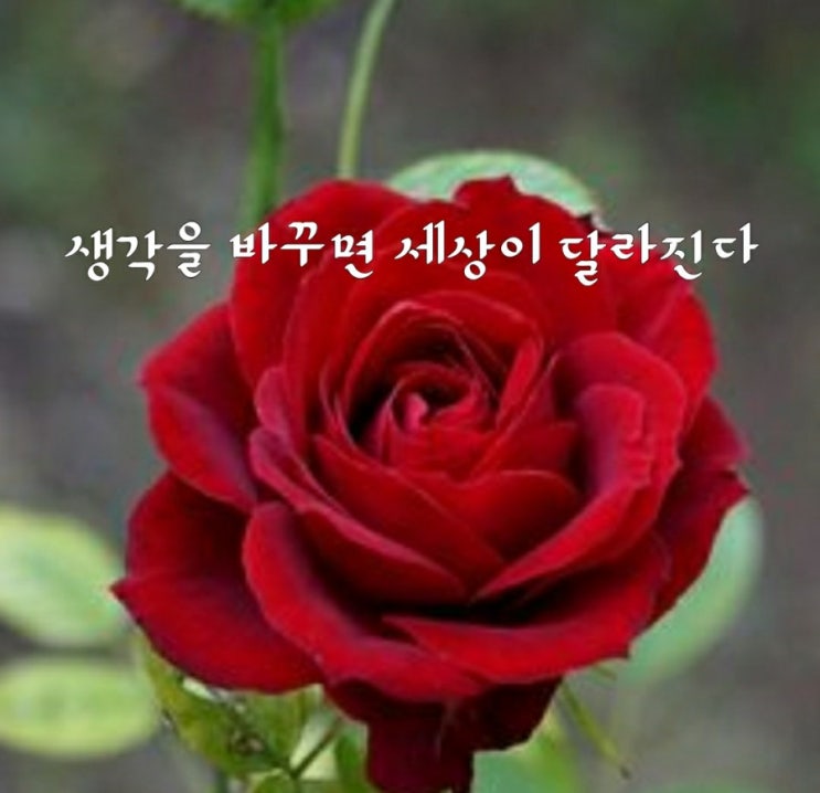생각을 바꾸면 세상이 달라진다 생각을 바꾸면 세상이 달라진다