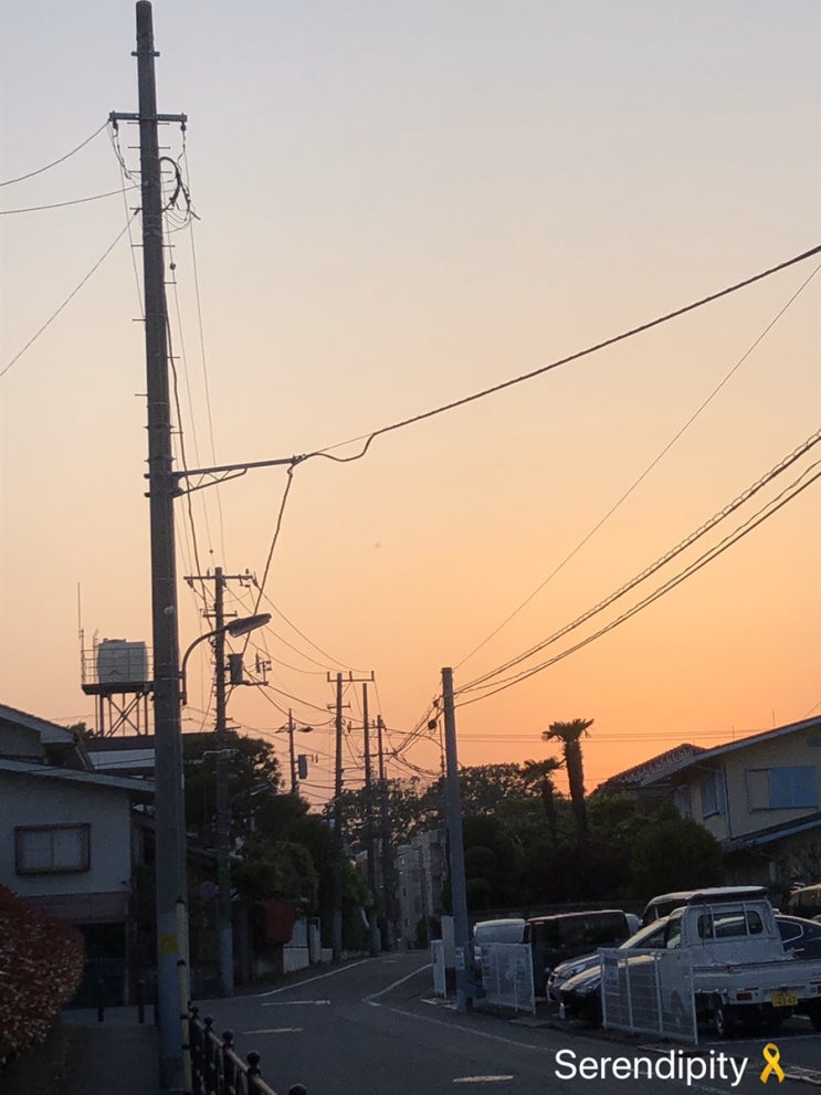  [도쿄라이프] 동네 산책, 생각정리, 세븐디저트