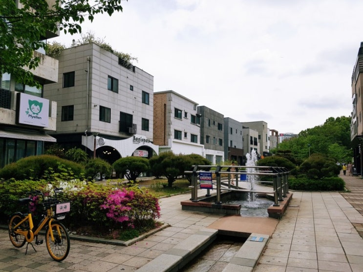  분당 백현동 카페거리, 정자동 카페골목 걸어보기
