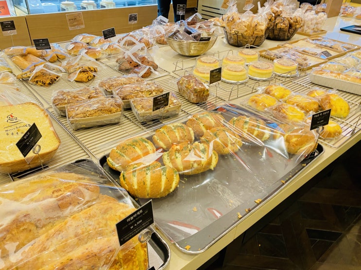  [불당 맛집] 천안 갤러리아백화점 빵 맛집 '뚜쥬루 제과점' 베이커리 거북이빵, 한끼빵 후기