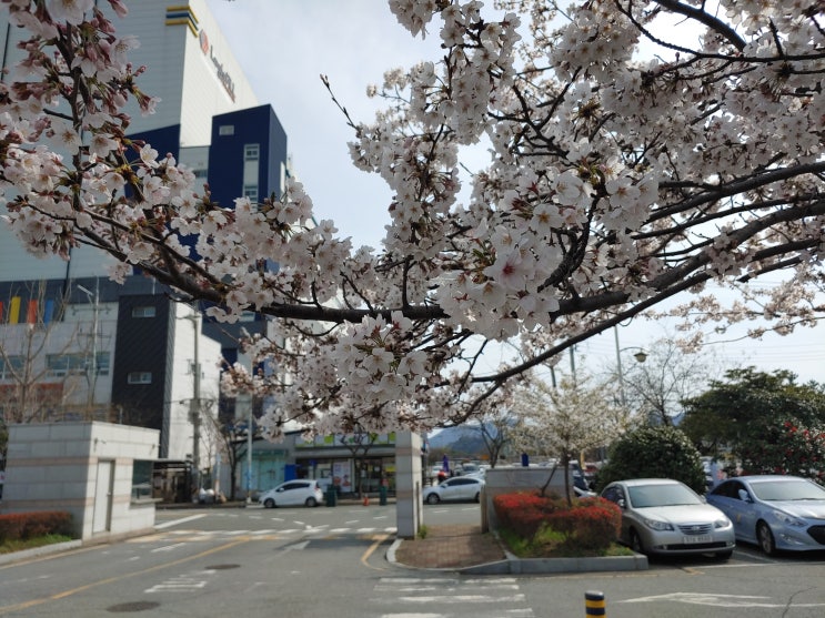  휴가 복귀 외국인 근로자(E-9) 입국 관리 강화
