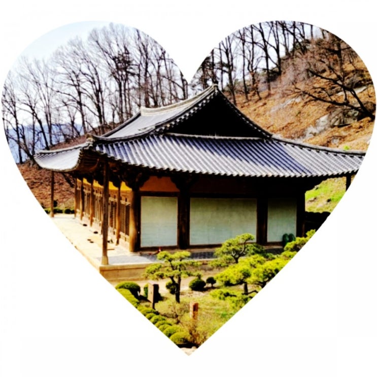  경북 영주 세계문화유산 부석사 여행