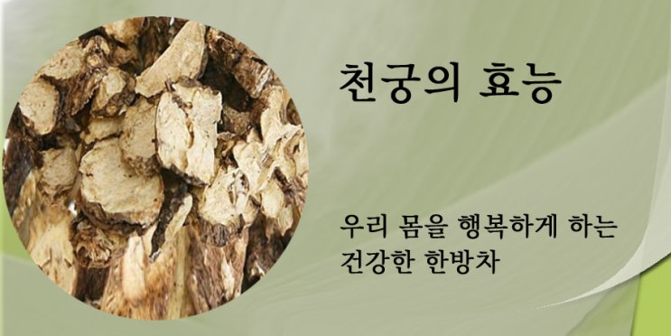  천궁차로 건강 지키기