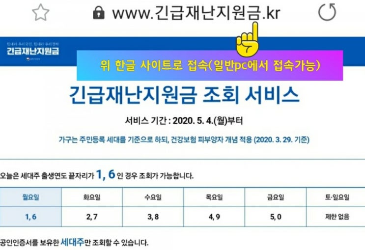 긴급재난지원금 조회