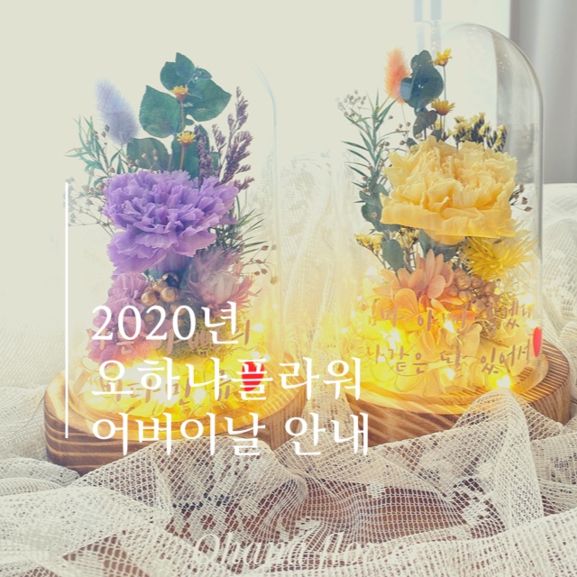  2020년 어버이날 카네이션 특집 :: 프리저브드플라워 카네이션 유리돔 모음
