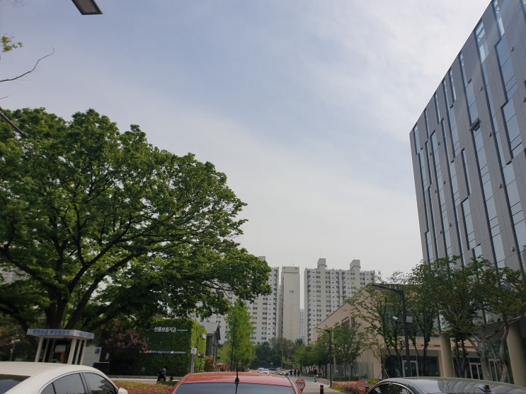  [대구/침산동/한식] 카페동이 3호점