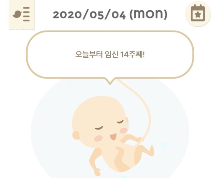  "임신 14주"차 증상
