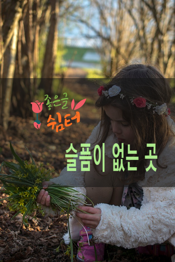  최인호의 《산중일기》