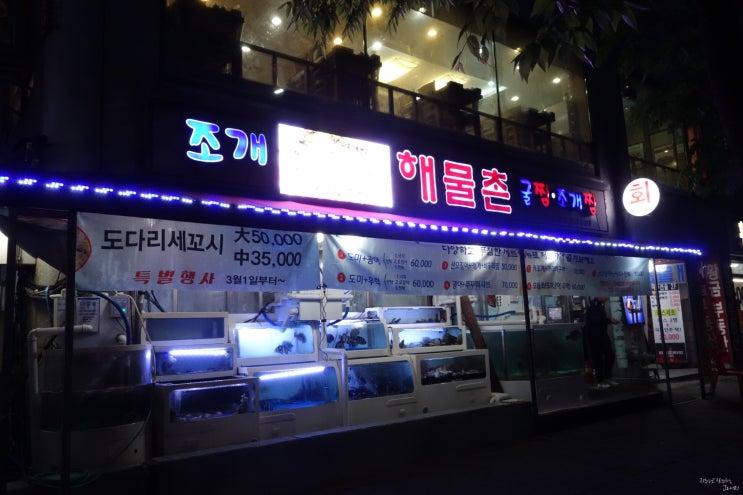  일산회포장 마두 횟집 해물촌 추가할인으로 더 저렴하게