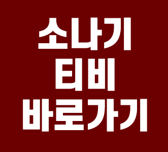  소나기티비 바로가기 링크 안내