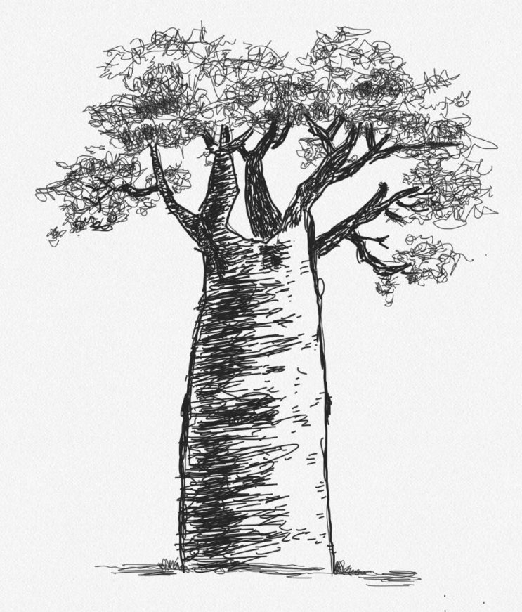 [1일1그림] 바오밥 나무