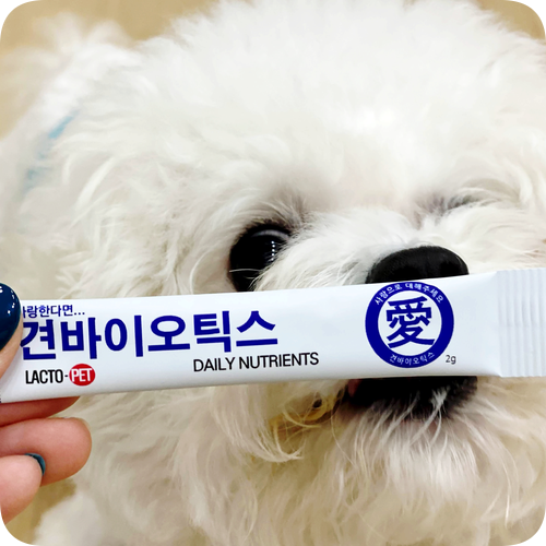  견바이오스틱 강아지 유산균 요걸로 충전