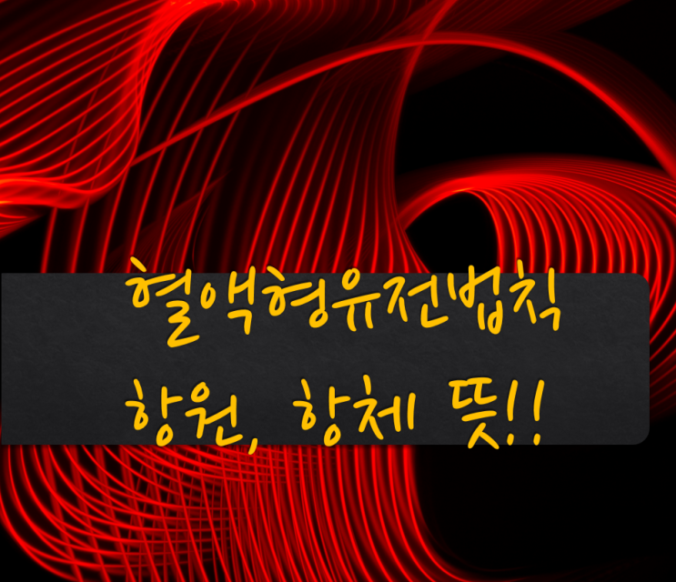 혈액형 수혈(유전)법칙과 항원(antigen), 항체(antibody), 시스(cis)AB형 뜻