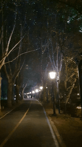  가장 완벽한 여행 담양 / 1박 2일 담양 숙소 에어비앤비 / 리틀포레스트 체험 2탄 / 초록별이 쏟아지는 담양