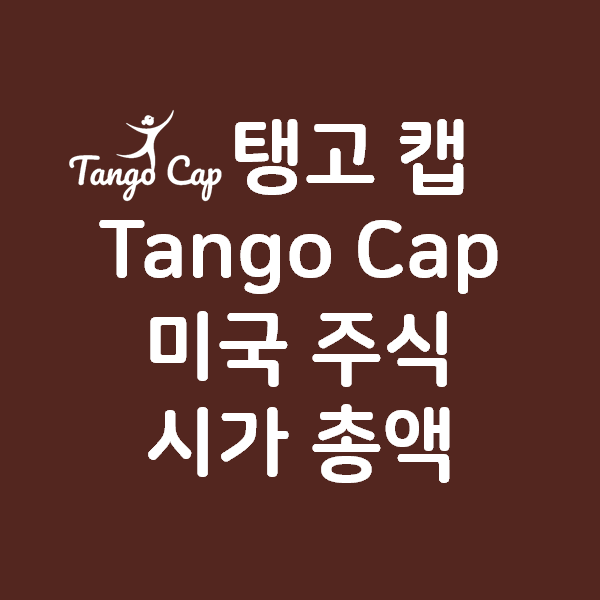 탱고캡 Tango Cap 미국 주식 시가총액 - 5월 1주차 업데이트