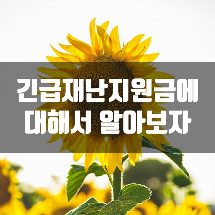 긴급재난지원금에 대해서 알아보자