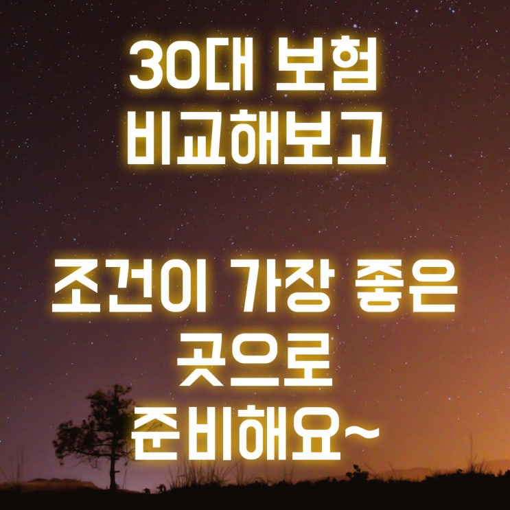  30대 암보험 조건이 가장 좋은 곳은? 농협손보/롯데손보 비교