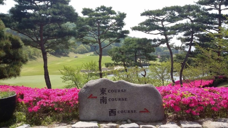  4계절 다양함이 가득한 여주 신라CC