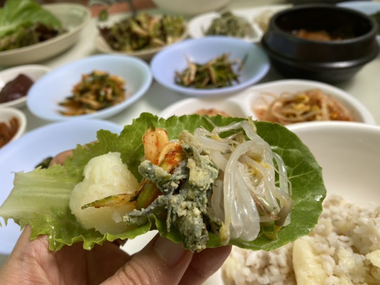 운동하는 비건식단 | 보리밥정식, 도토리묵에 동동주, 버섯야채구이, 전신 홈트레이닝
