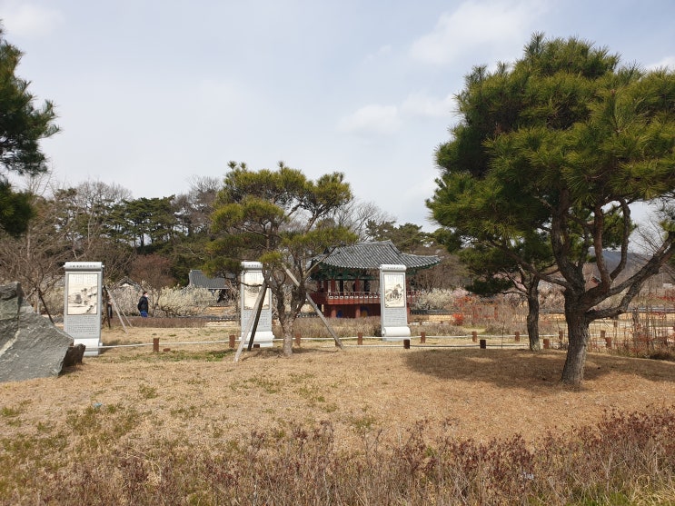  [경상북도/성주군/나들이] 회연서원