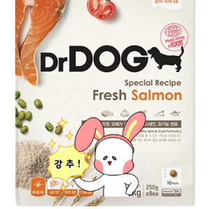  우리 반려견 피부 모질 개선은! 닥터독 사료!