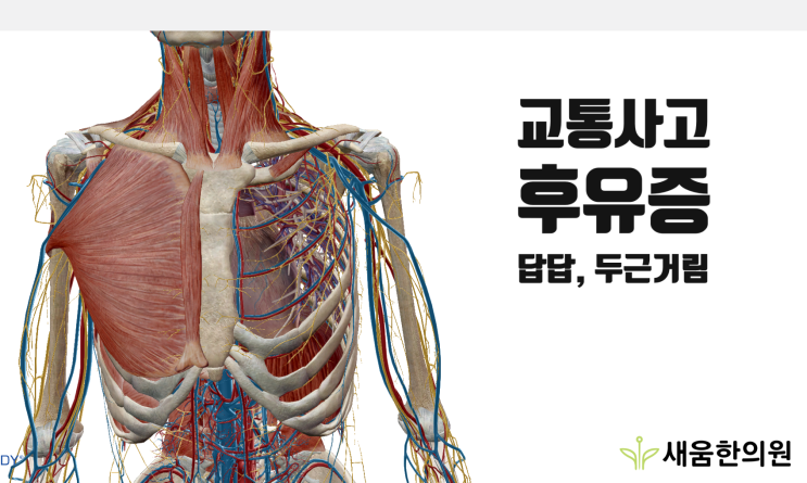 교통사고로 가슴 두근거림이 멈추지 않나요?[수원 영통 새움한의원]