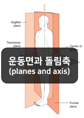  운동면(plane of motion)과 돌림축(axis of rotation) 세트로 공부하기!!