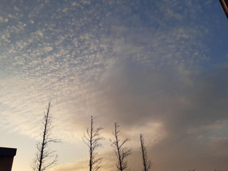  영흥도,십리포해수욕장,