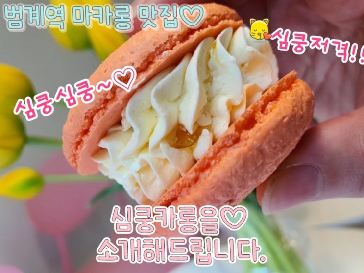  범계역 마카롱맛집- 심쿵카롱을 소개합니다.