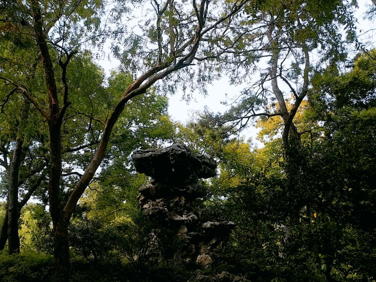  중국 쑤저우 - 졸정원