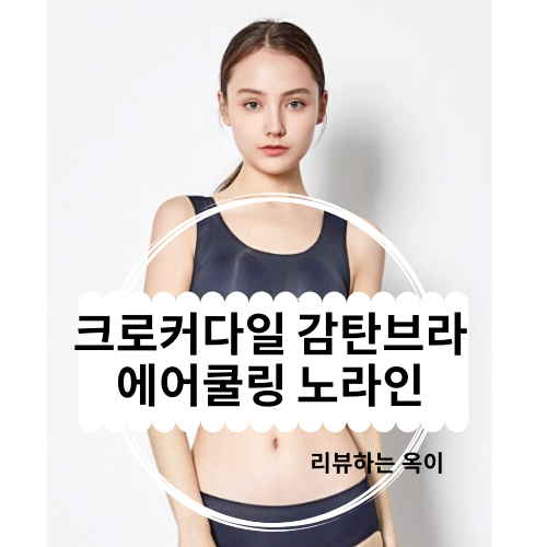  크로커다일 감탄브라 에어쿨링 인견 심리스 브라 최저가로 구매하기