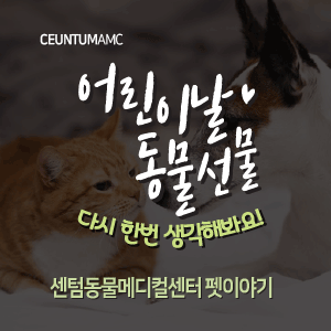  [동물뉴스]어린이날, 동물 선물 다시 한번 생각해봐요! (부산분과전문동물병원, 365일연중무휴)