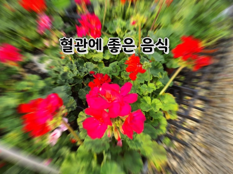 혈관에 좋은 고마운 음식 혈관에 좋은 고마운 음식