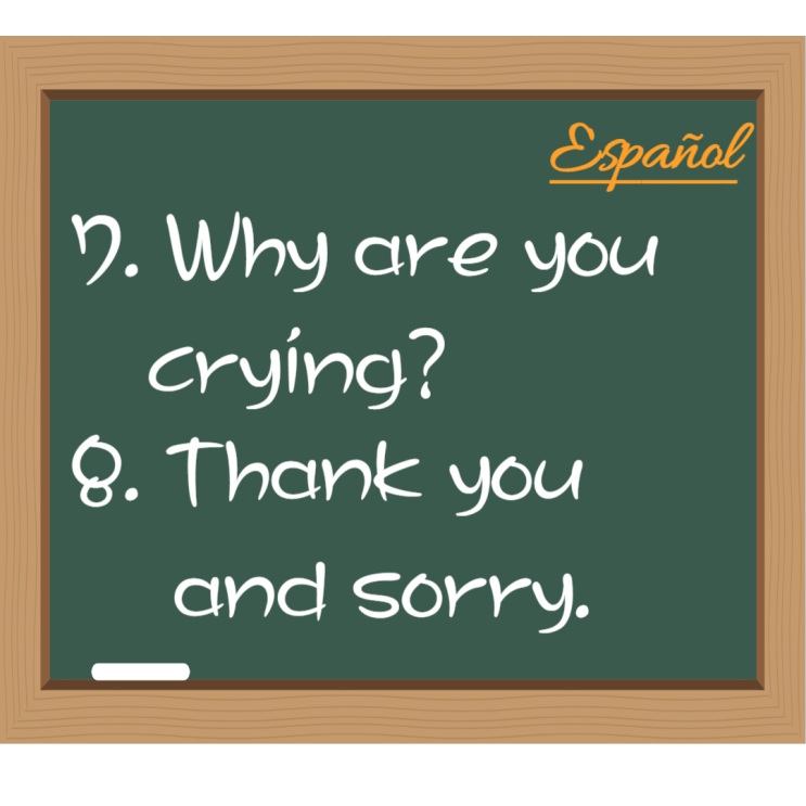  멘탈이 무너진 스페인어 왕초보... 멘탈 잡고 돌아오다!!!