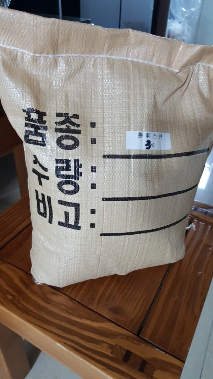  선산에 잔디 씨앗을 흩어뿌리는 자식의 마음