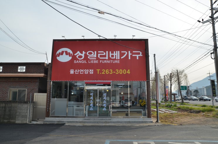  울산가구점 가구11번가에서 소파 구경해요