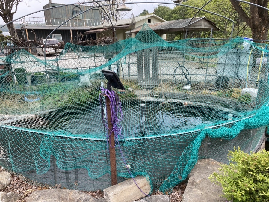 옥산메기장식당 사진 3