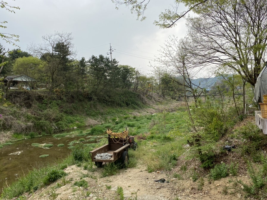 옥산메기장식당 사진 4