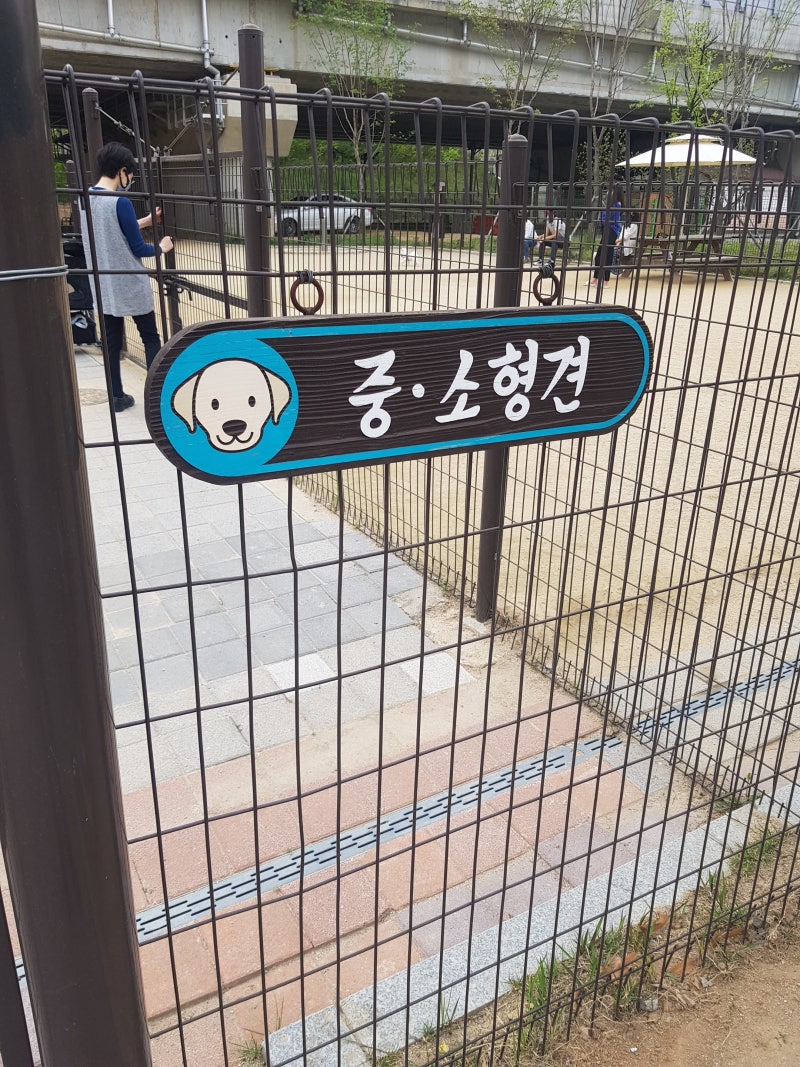 사진 5
