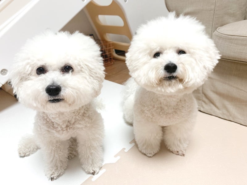 사진 9